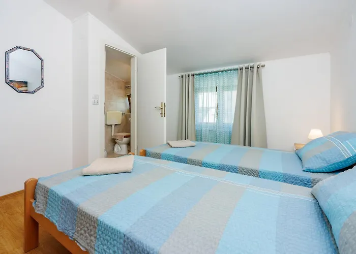 Nina ツリクヴェニツァ